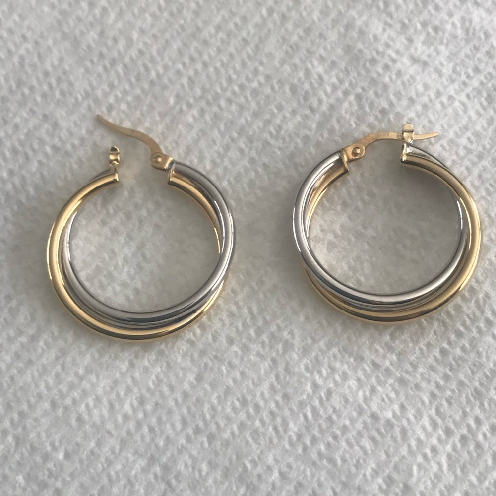 Elegant Gold and Silver Hoop Earrings